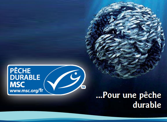 289 097 dollars pour l’écocertification du homard des Îles-de-la-Madeleine