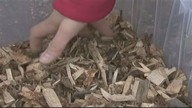 Du bois recyclé pour le chauffage