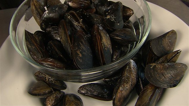 Les amateurs de produits marins auront bientôt plus d’options en magasin