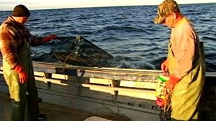 Port du gilet obligatoire pour les pêcheurs de homard