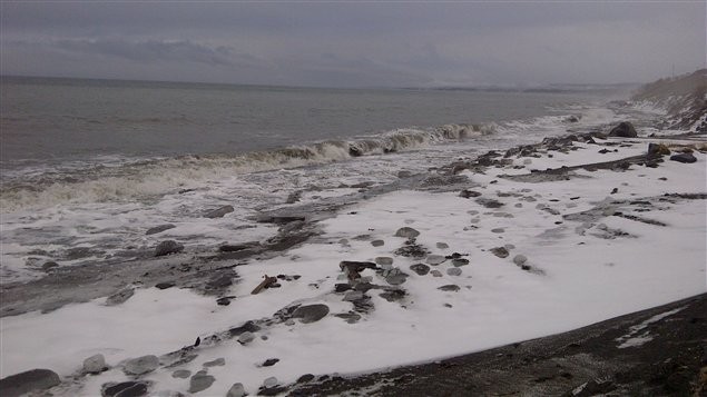 L’absence de glace sur le Saint-Laurent inquiète