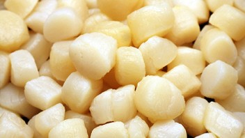 Les pétoncles de la Nouvelle-Écosse frisent un prix record