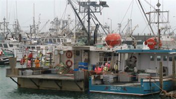 La pêche au homard en Nouvelle-Écosse risque de faire l’objet d’un boycottage