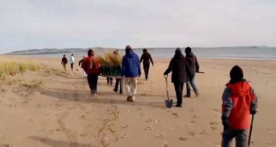 04/11/2010 : J’y mets mon grain de sable…