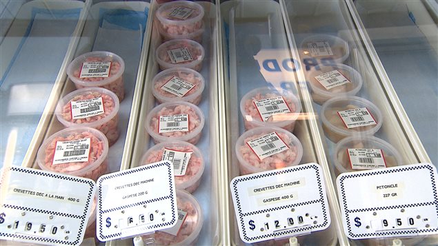 Crevettes nordiques : des transformateurs se préparent à faire le point
