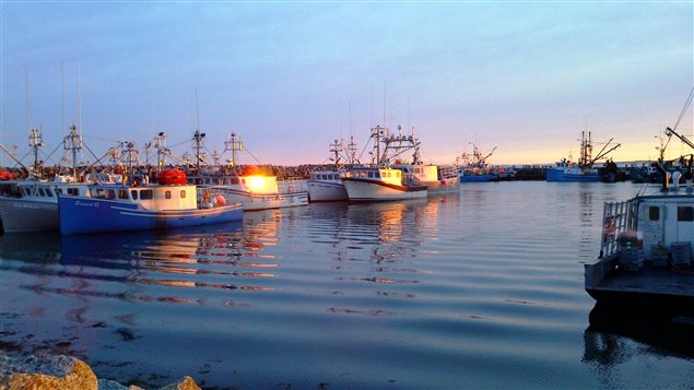 Des pêcheurs tournés vers demain