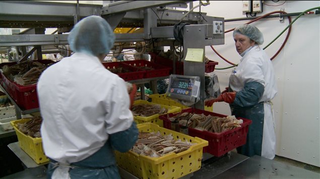 Îles-de-la-Madeleine : l’investiture du PQ envahie par des pêcheurs