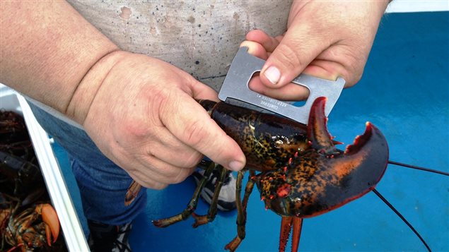 Sommet sur le homard : de grands absents