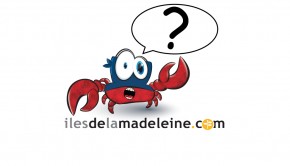 crabe-masque_ok