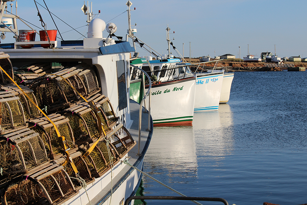 La pêche au homard aux Îles devancée à vendredi
