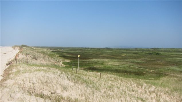 Site contaminé aux Îles: pas de travaux avant l’automne