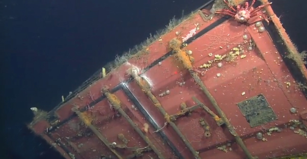 Que devient un container perdu au fond de l’océan ?