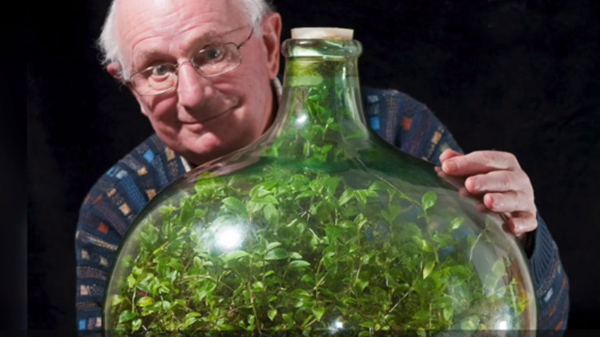 Inusité : Un incroyable jardin se développe dans une bouteille fermée depuis 50 ans