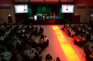 gala_eloizes_2014_2838