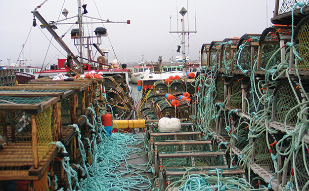 L’Association des pêcheurs des Îles : Quarante années d’implication et de retombées