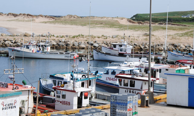 Le homard des Îles: le prix plancher, une mesure qui ne fait pas l’unanimité