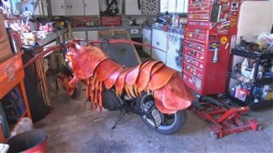 151018_2242n_moto-homard-nb_6