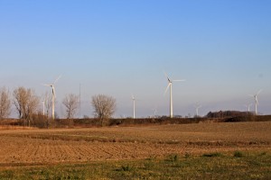 Un champ d'éolienne