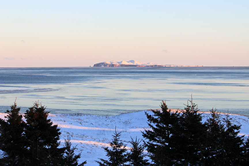 Les couleurs de l’hiver