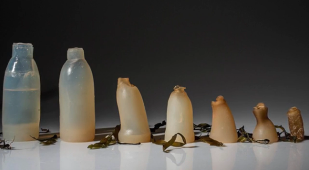 Un étudiant islandais crée une bouteille biodégradable fabriquée à partir d’algues
