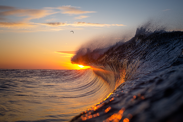 WarrenKeelan_Suncrest