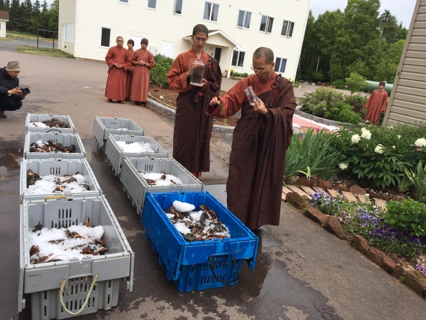 monks-free-lobsters-1