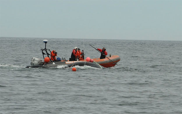 Du cordage de pêche plus sécuritaire pour les baleines