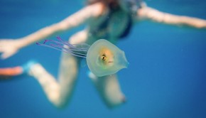 un-poisson-dans-une-meduse-1