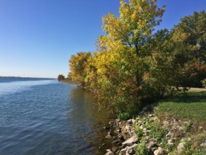 beaute-au-bord-de-leau