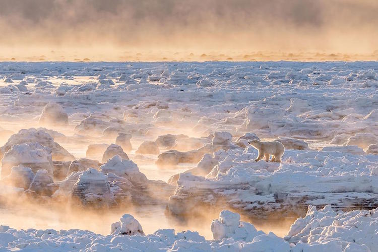 la-beaute-de-la-meteo-et-de-la-nature-avec-les-gagnants-du-concours-it-s-amazing-out-there-1