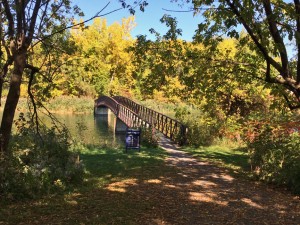 le-pont-des-decouvertes