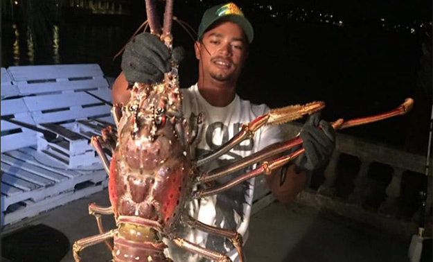 Bermudes : Il pêche une langouste de 14 livres!