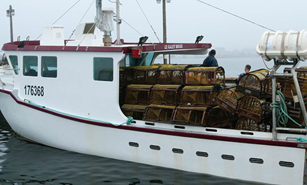 732 360 $ pour les acteurs québécois du secteur des pêches et de l’aquaculture commerciales