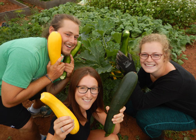 Le potager pédagogique du Campus des Îles remporte le concours Projets d’espoir