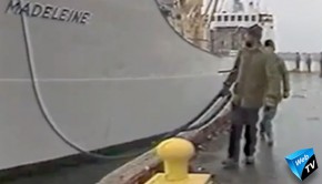 transport