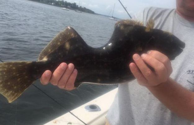 Insolite : Il pêche un poisson déjà bien croqué