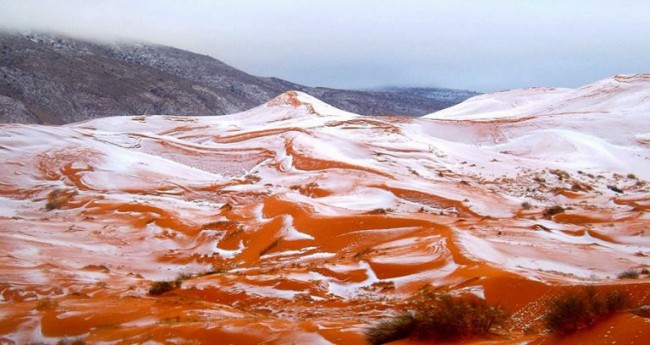 De la neige dans le Sahara pour la première fois depuis 37 ans