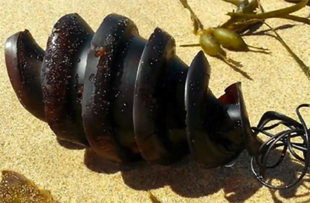 D’étranges objets échoués sur des plages intriguent les promeneurs