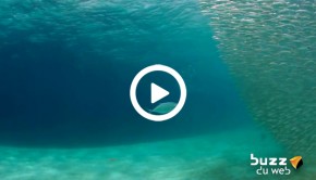 ocean