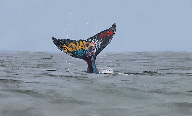Josh Keyes peint des graffitis sur la queue des baleines