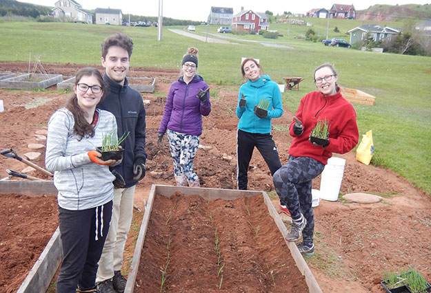 Le potager pédagogique du Campus des Îles-de-la-Madeleine entame sa troisième saison