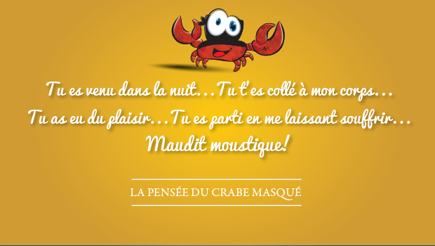 moustique
