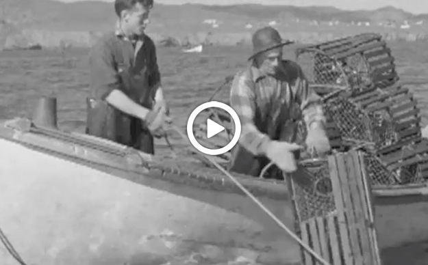 Archives : Les pêcheurs de homard des Îles-de-la-Madeleine au travail