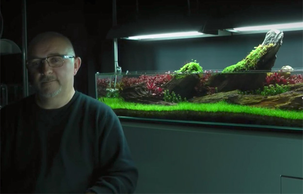 Un décorateur d’aquarium crée des mondes sophistiqués