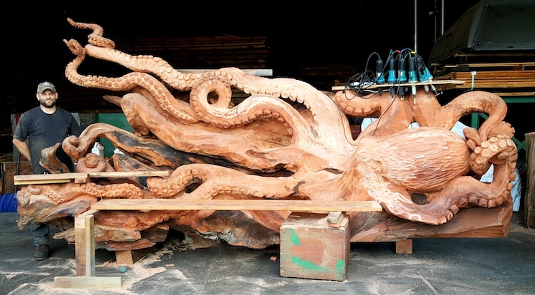 une-fabuleuse-sculpture-de-pieuvre-dans-un-tronc-de-sequoia-par-Jeffrey-Michael-Samudosky-14