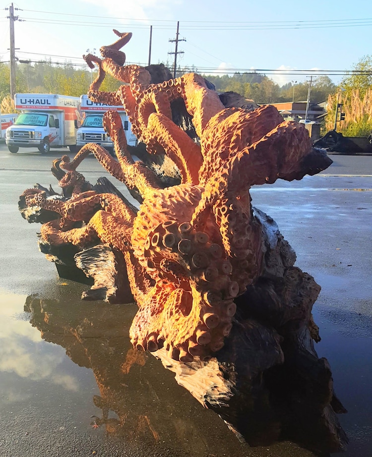 une-fabuleuse-sculpture-de-pieuvre-dans-un-tronc-de-sequoia-par-Jeffrey-Michael-Samudosky-17