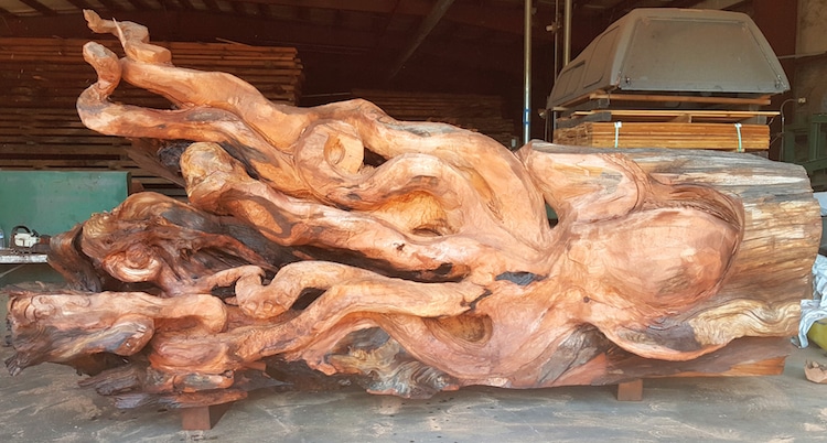 une-fabuleuse-sculpture-de-pieuvre-dans-un-tronc-de-sequoia-par-Jeffrey-Michael-Samudosky-7