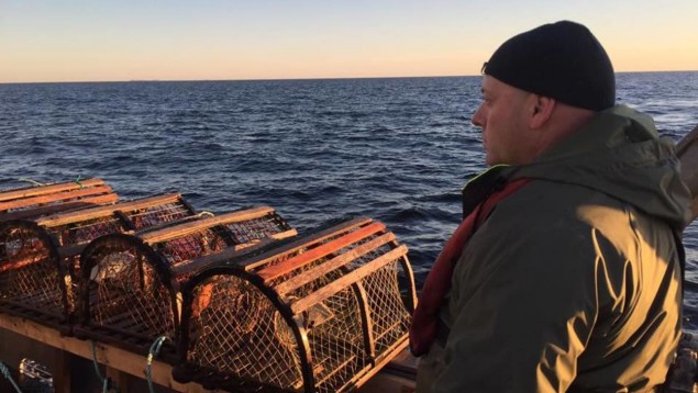 De nouveaux appâts pour une pêche au homard durable