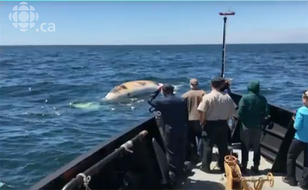 L’industrie de la pêche en mode solutions