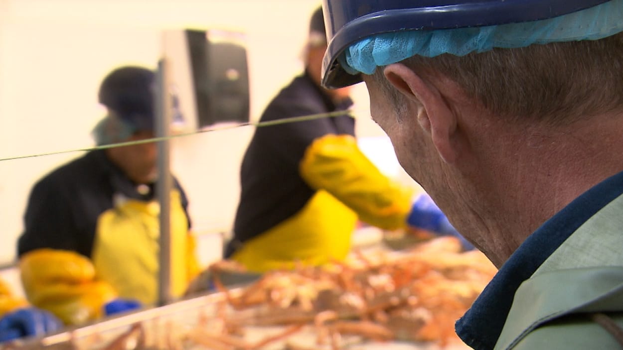 L’usine Fruits de mer Madeleine de L’Étang-du-Nord change de mains